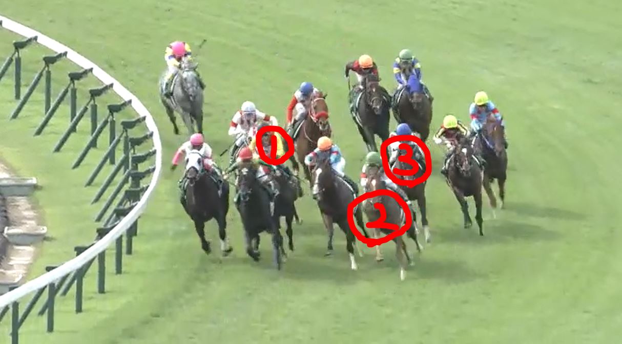 3分で大まかに理解できる小倉記念19 展望 傾向 穴馬など Taroの競馬 2nd Season 3分で大まかに理解できる小倉記念19 展望 傾向 穴馬など Taroの競馬 2nd Season