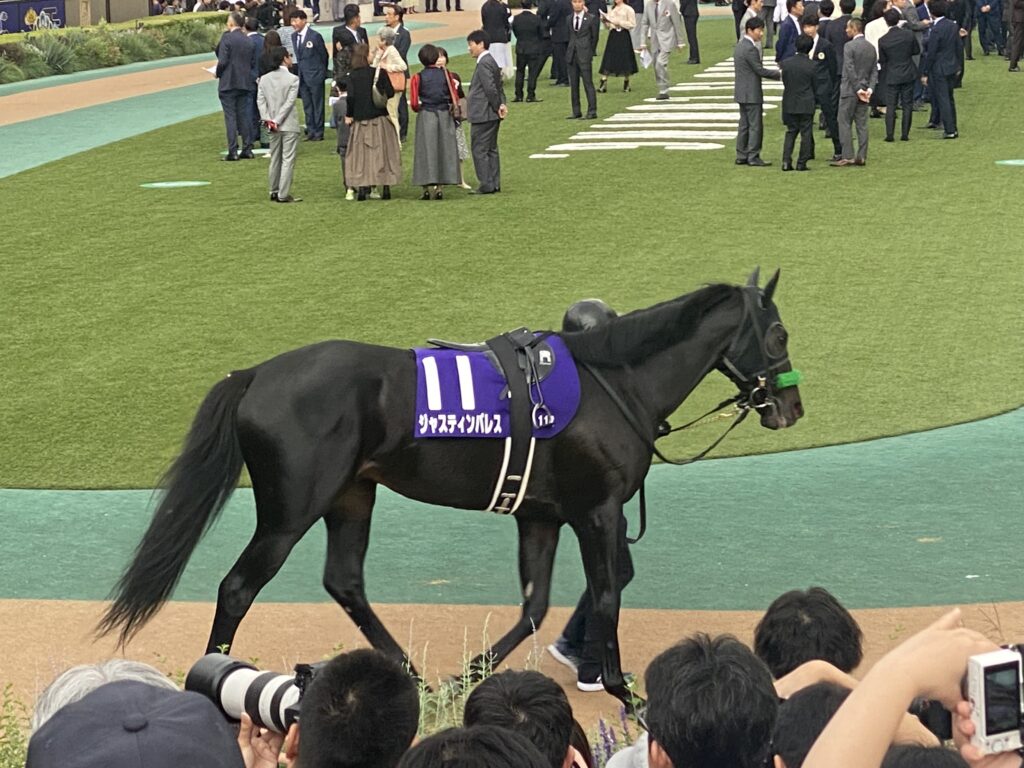 第41回ジャパンカップ　全出走馬のストラップ 第41回ジャパンカップ 全出走馬のストラップ 第41回ジャパンカップ 全