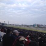 朝日杯フューチュリティステークス2024