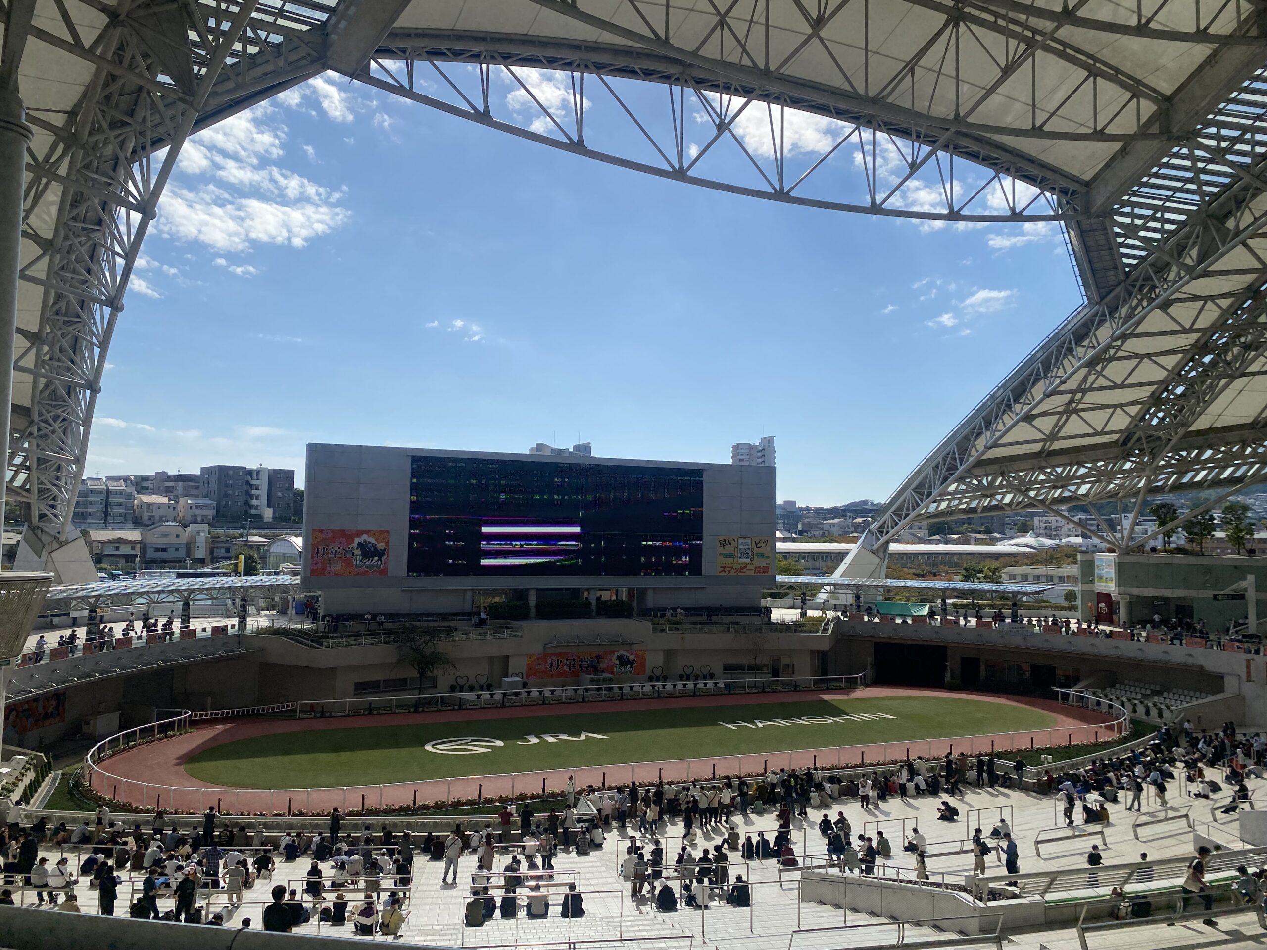 神戸新聞杯2025