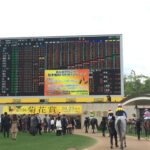 菊花賞2025予想