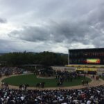 ファンタジーステークス2025