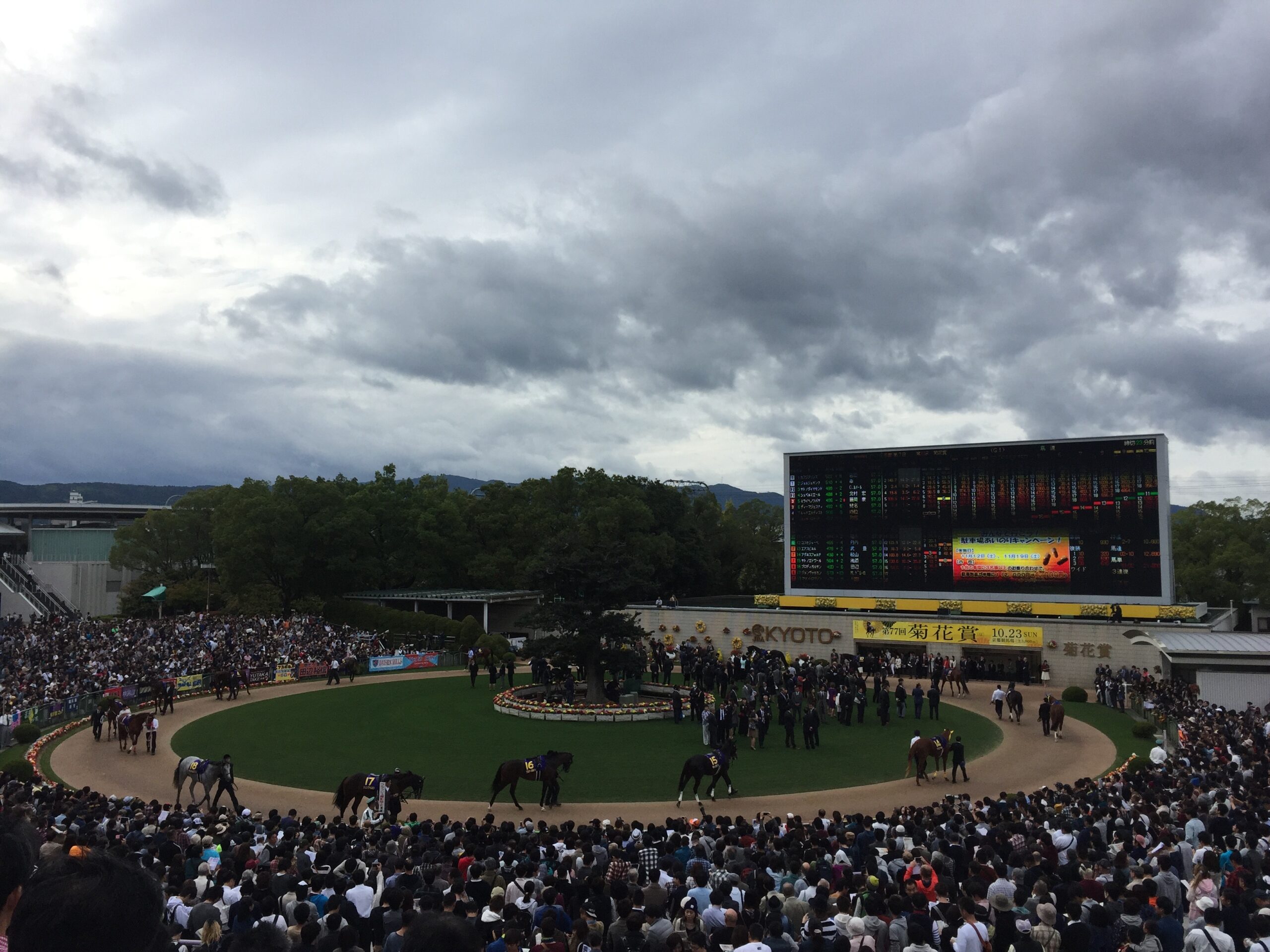 ファンタジーステークス2025