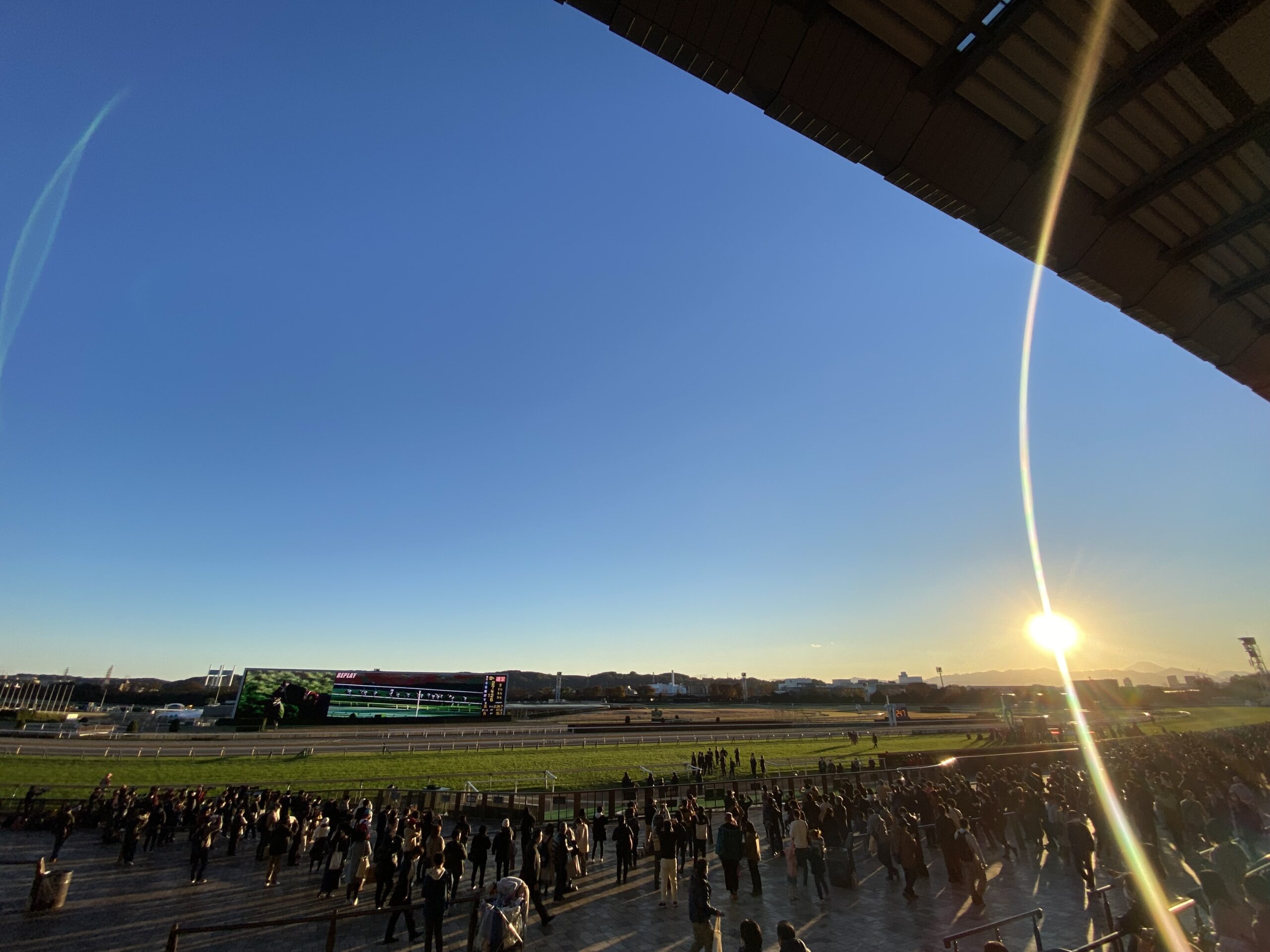 京都２歳ステークス2025