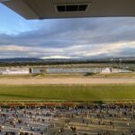 みやこステークス