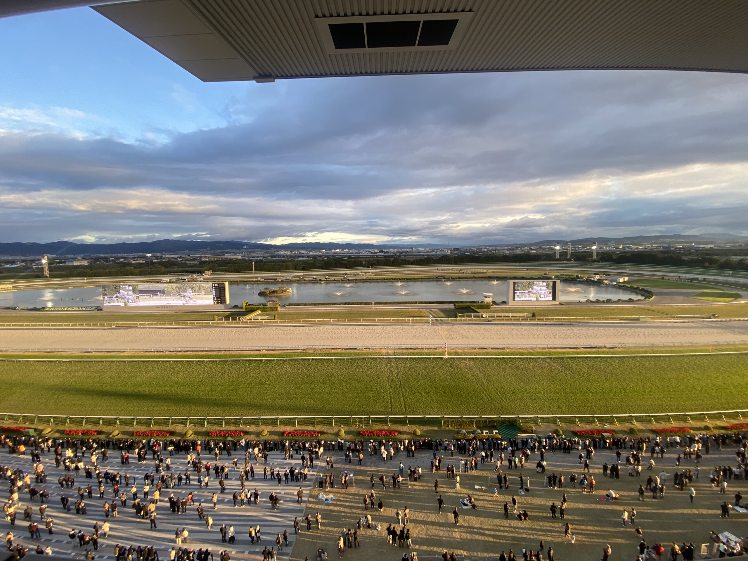 みやこステークス