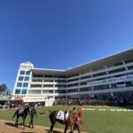 ターコイズS2025