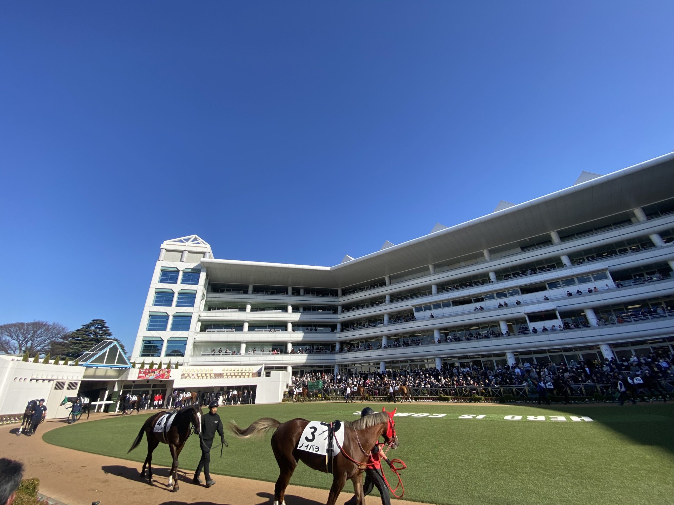 ターコイズS2025