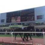 阪神ジュベナイルフィリーズ