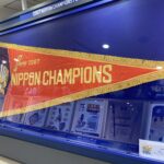 中日新聞杯2025