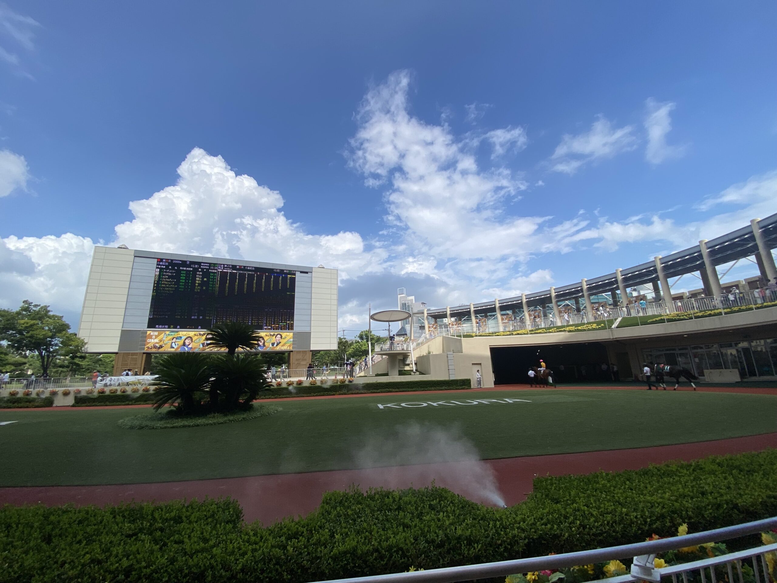 薩摩ステークス2026