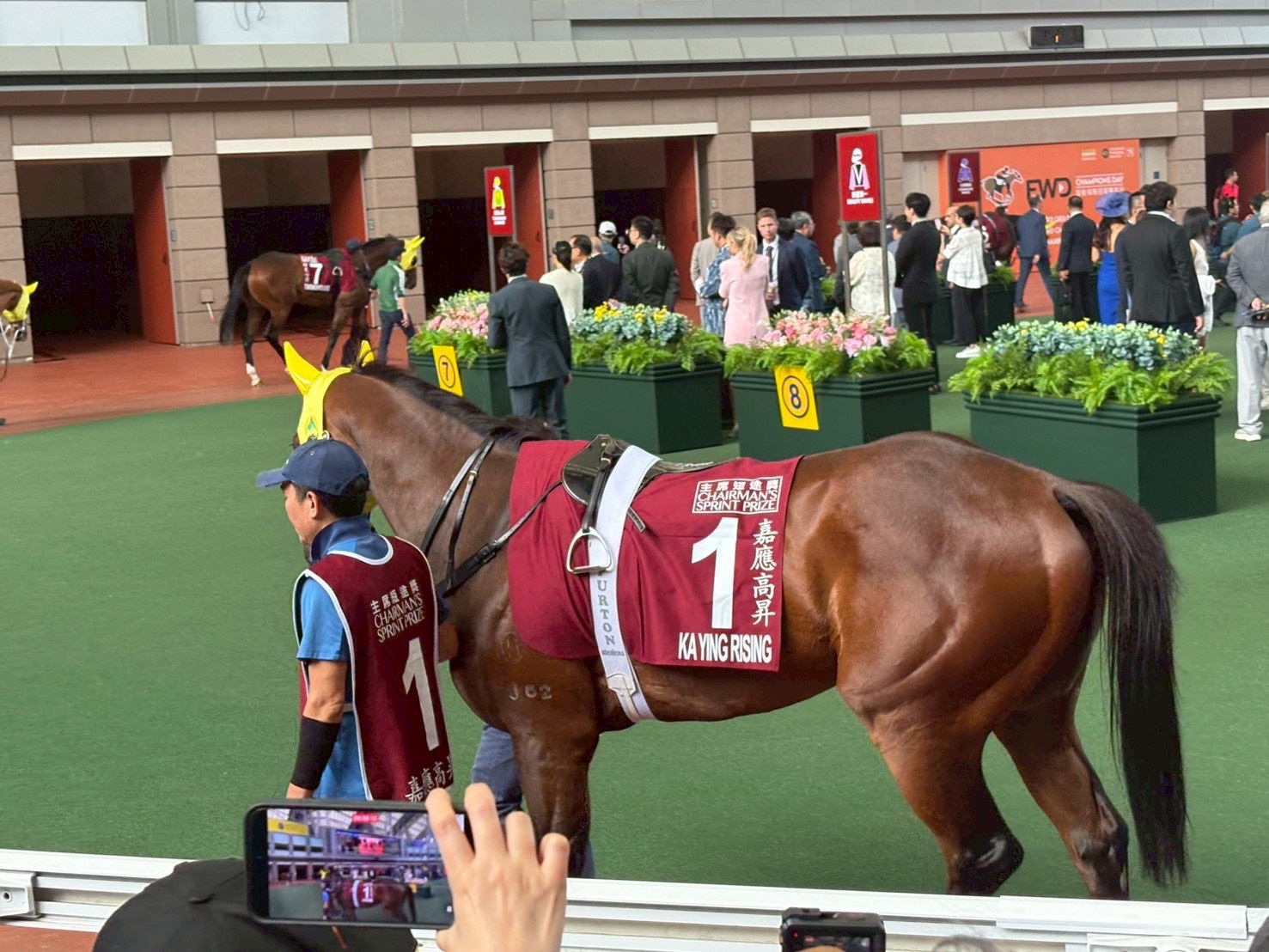 垂水ステークス2026