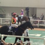クロワデュノール