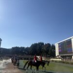 富士ステークス2026回顧