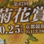 菊花賞2026