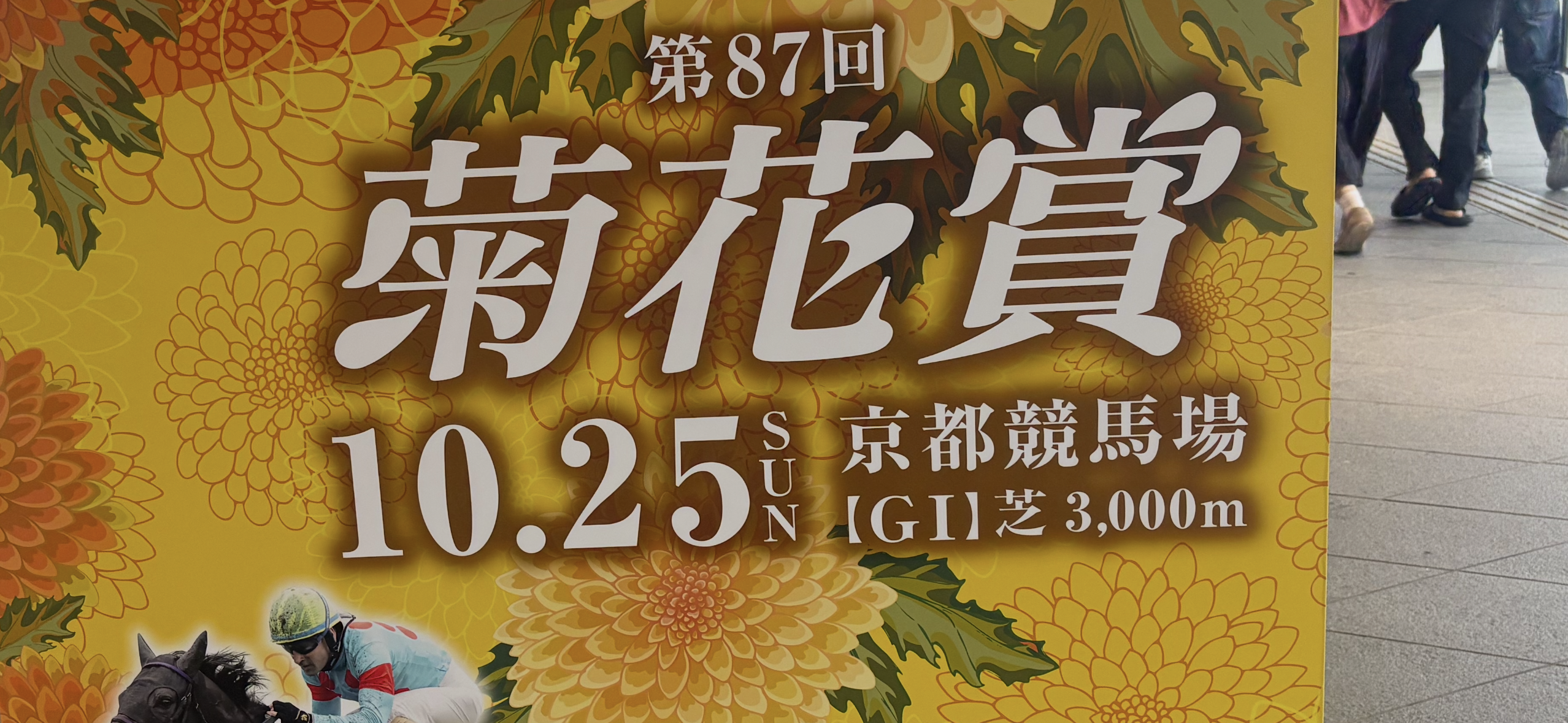 菊花賞2026