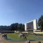 アルテミスステークス2026