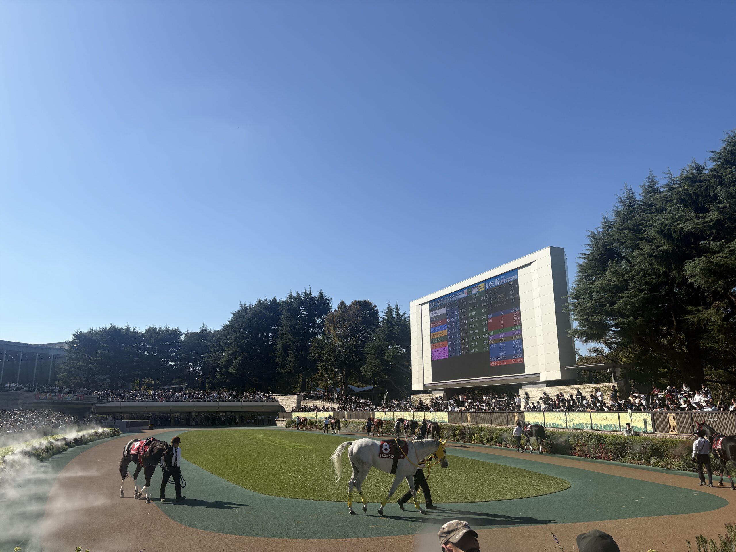 アルテミスステークス2026