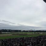 グリーンチャンネルカップ2026