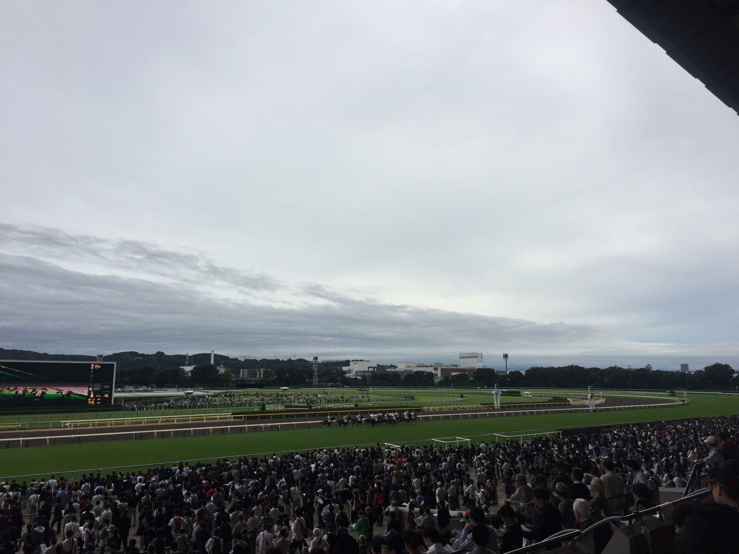 グリーンチャンネルカップ2026