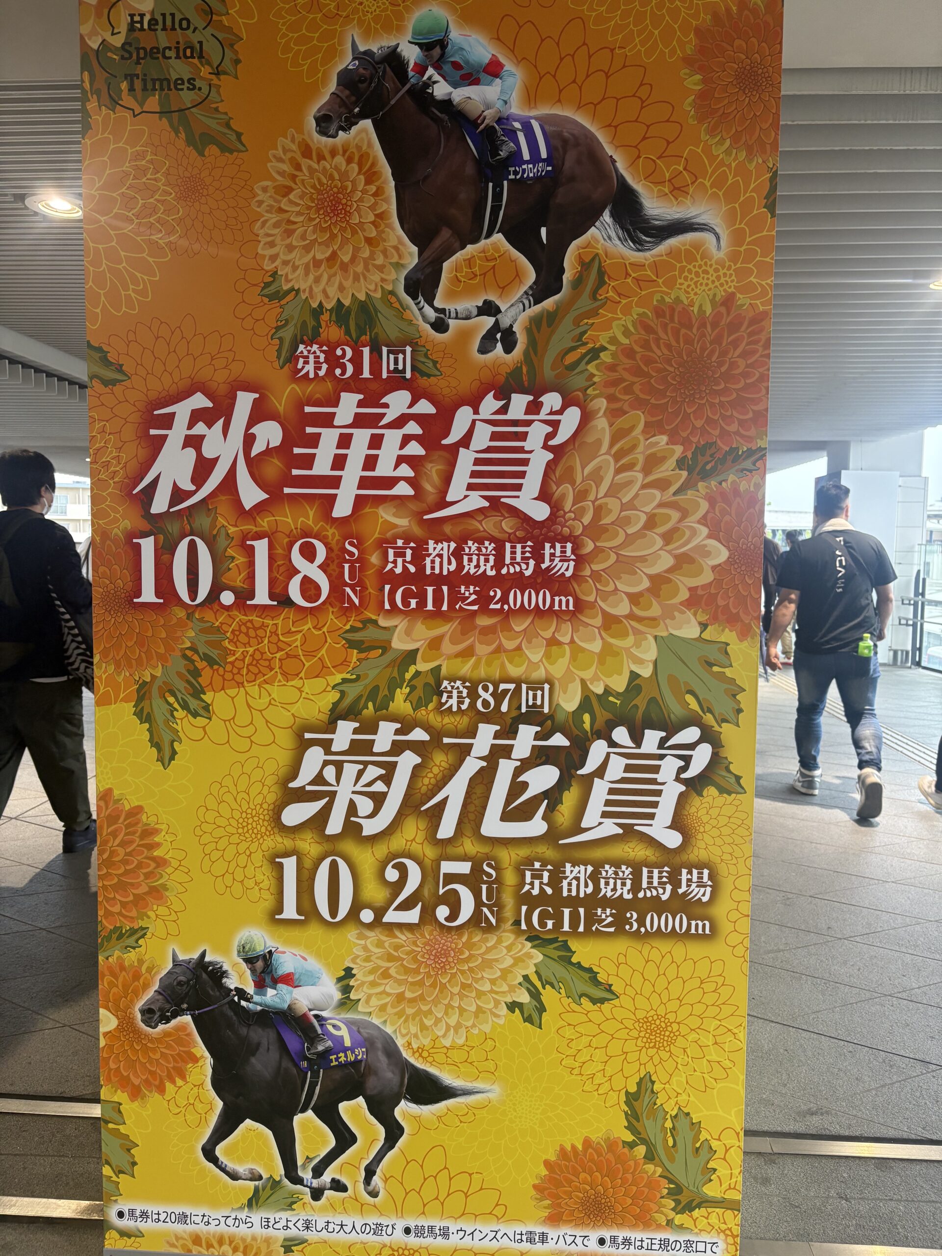 菊花賞2026