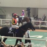 北村友一クロワデュノール